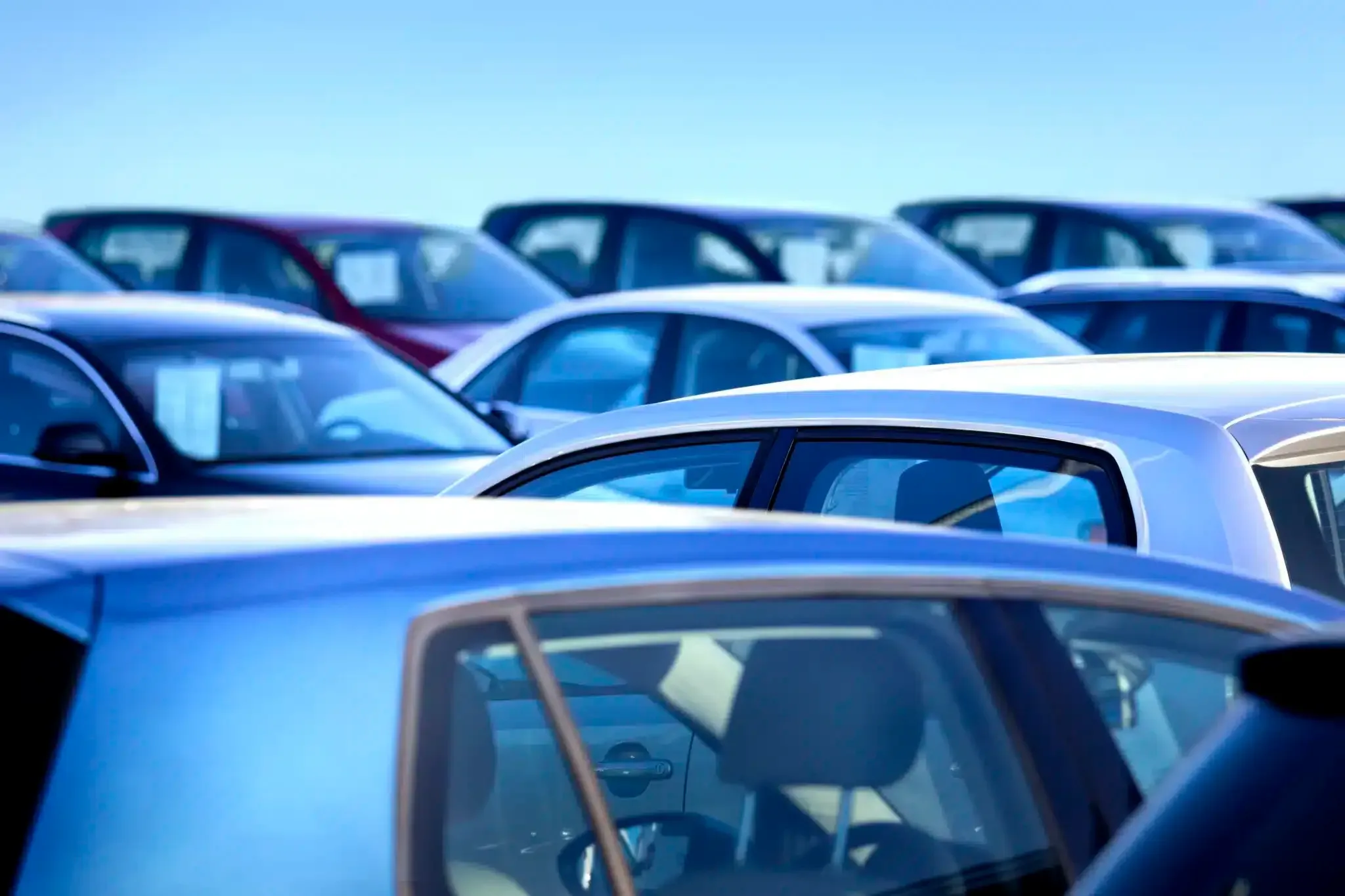 cars on dealership forecourt